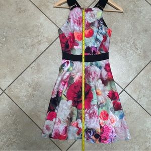 Ted Baker Floral Skater Dress Size 0